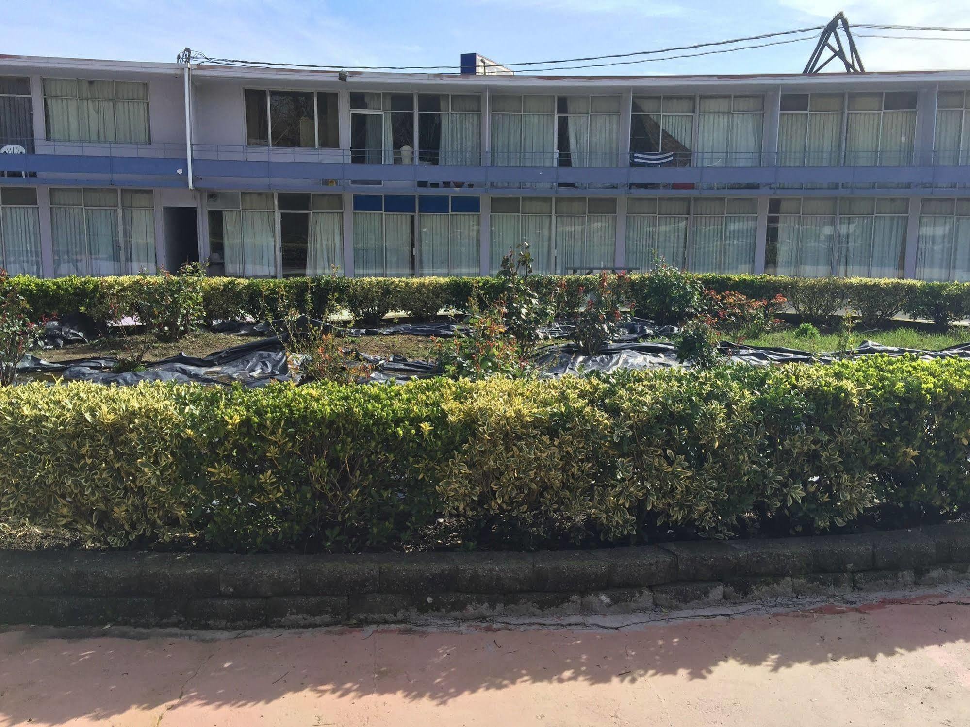 Budget Inn Albany Esterno foto